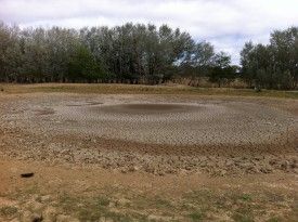 Z empty pond